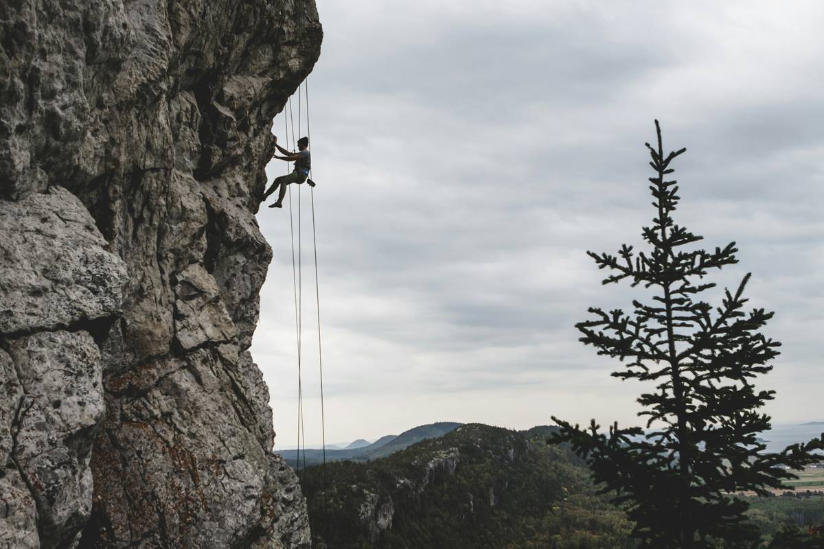 Climbing Hex Shield: The Forgotten Passive Protection That Still Saves Lives