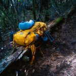 Hex Climbing Strap: 7 Proven Tips to Avoid Costly Mistakes